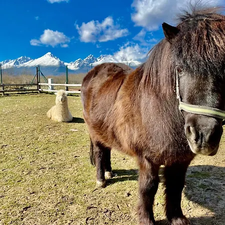 דירה Jenny- Stunning View Of High Tatras